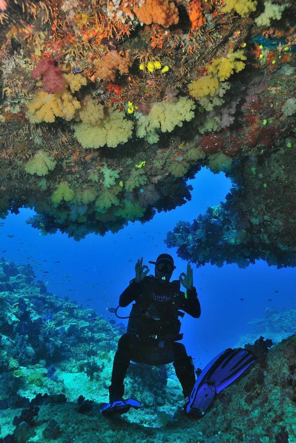מלון Vatolotolo Dolphin Bay Divers Retreat מראה חיצוני תמונה